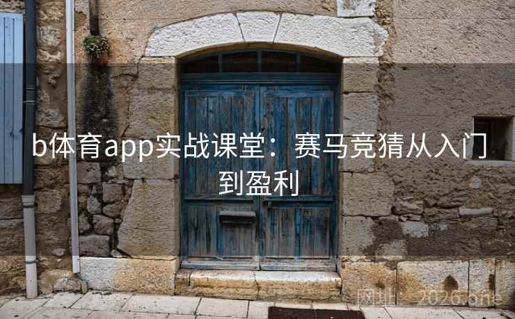 b体育app实战课堂:赛马竞猜从入门到盈利 b体育app实战课堂:赛马竞猜从入门到盈利