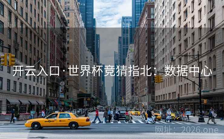 开云入口·世界杯竞猜指北：数据中心