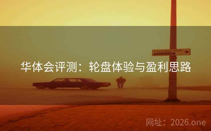 华体会评测：轮盘体验与盈利思路