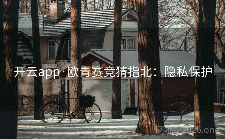 开云app·欧青赛竞猜指北：隐私保护