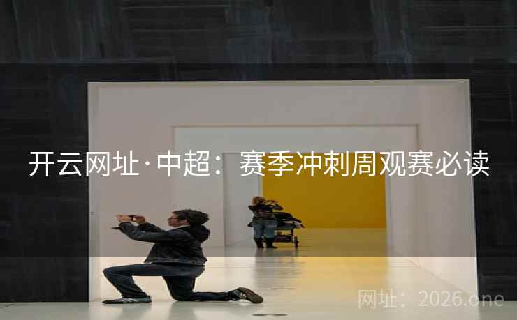 开云网址·中超:赛季冲刺周观赛必读 开云网址·中超:赛季冲刺周观赛必读