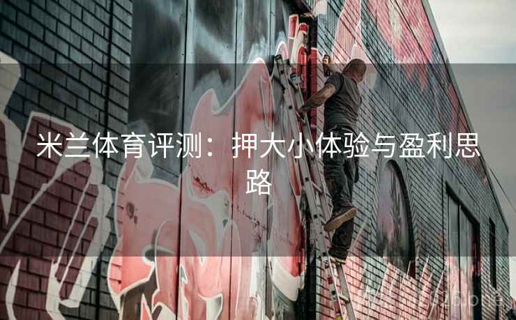 米兰体育评测：押大小体验与盈利思路