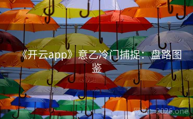 《开云app》意乙冷门捕捉：盘路图鉴